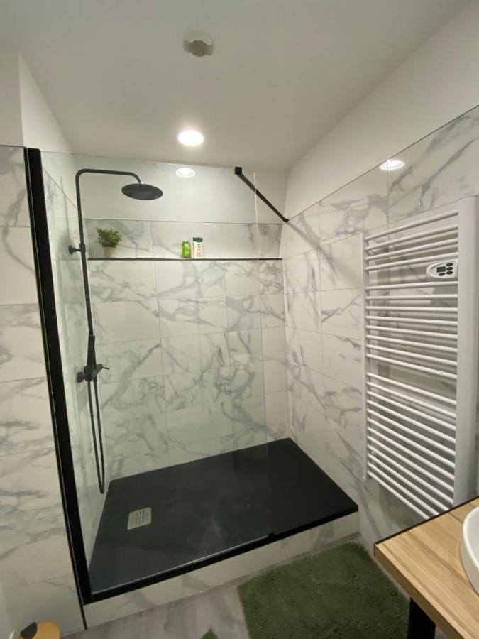 Apartamento L’ÉLÉGANT: 80m2 vue sur vignoble au Centre d’Epernay!! Exterior foto